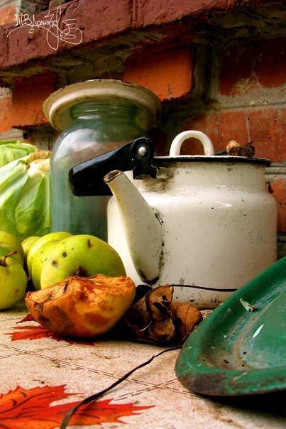 Фотовиставка Тетяни Должко